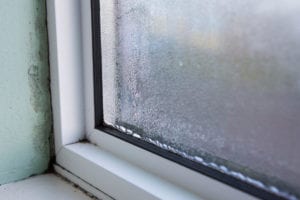 window mold removal needed