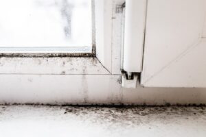 mold removal window moisture remediation needed